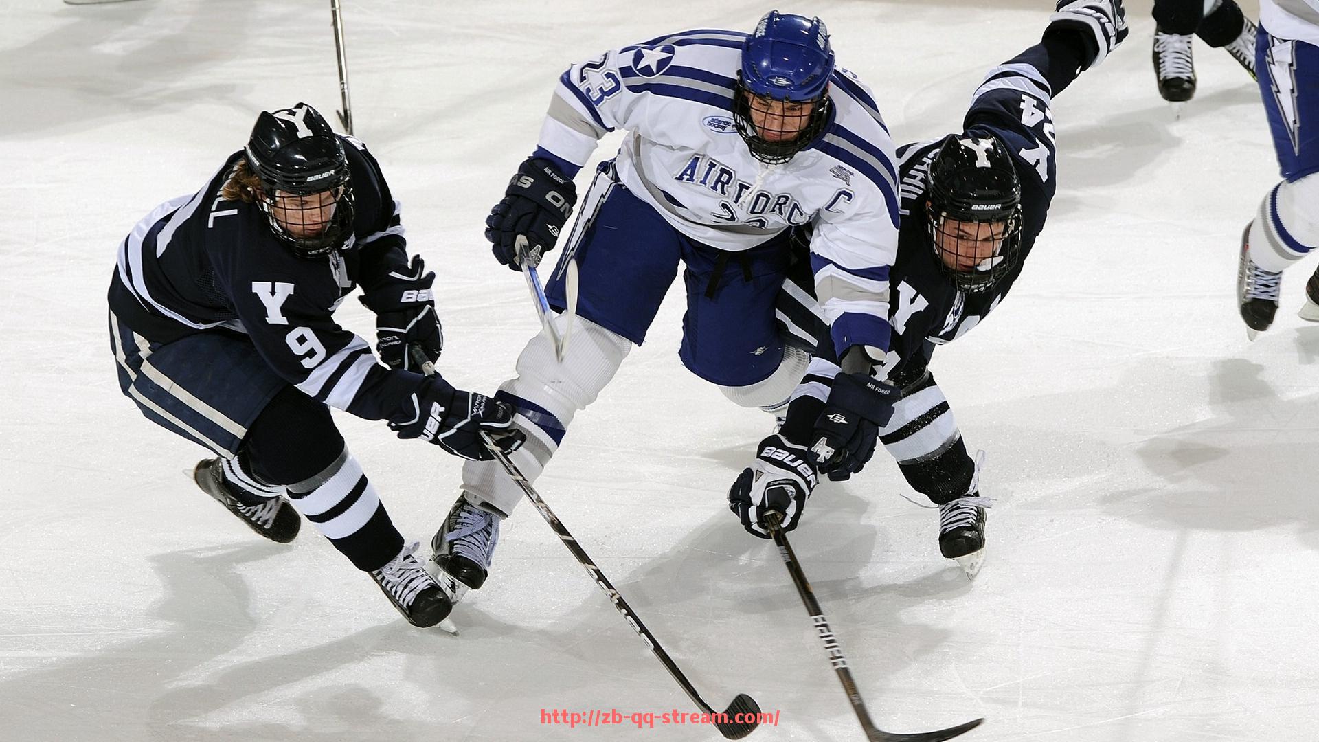 企鹅直播-香港康乐佳健身器材在本地市场销售情况汇总